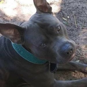 Meet your Posher, Frances